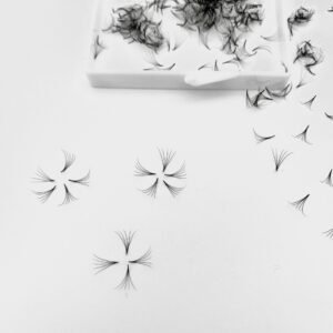 Pre made fan 5D (1000 fan/ box)